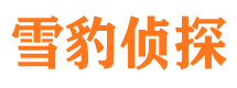 绥滨市私家侦探